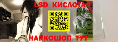 jwh Будённовск