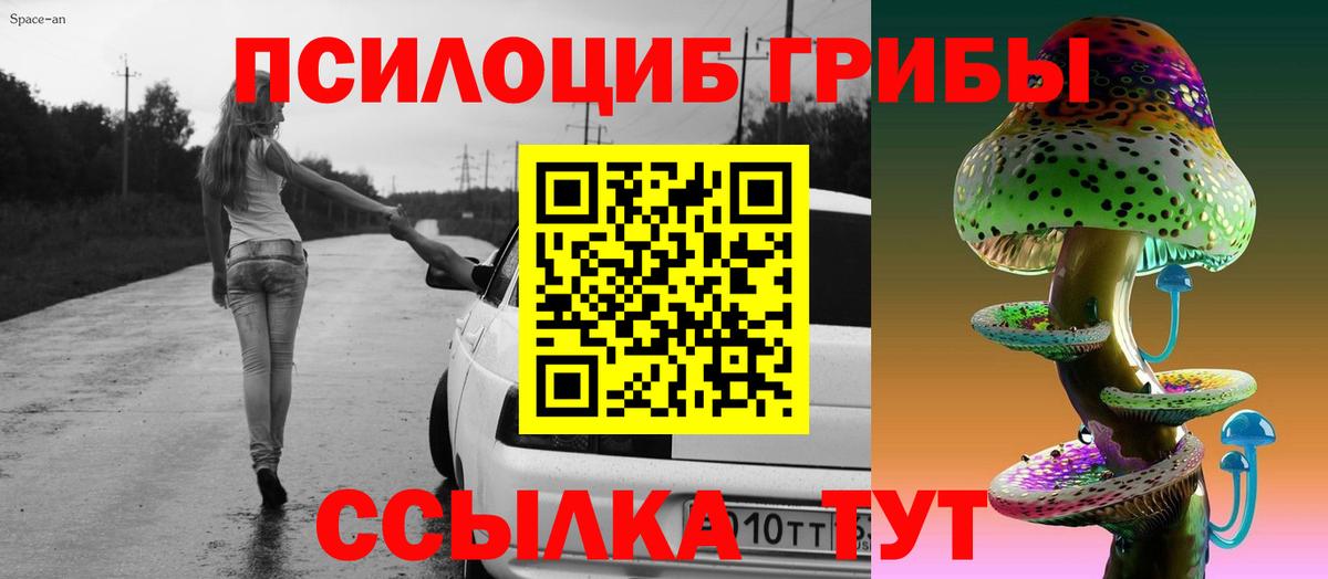 Прохладный  Галлюциногенные грибы ЛСД  Вход с VPN 