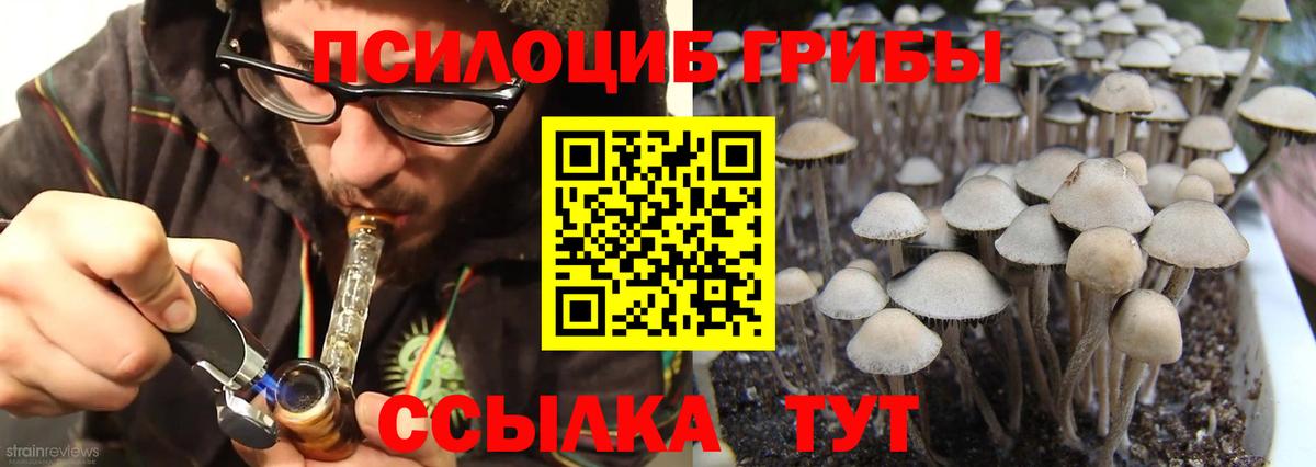 Псилоцибиновые грибы Magic Shrooms Прохладный