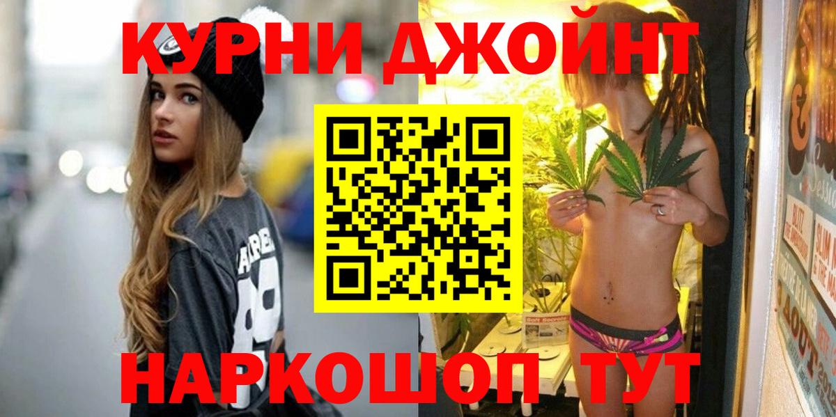 Марихуана сатива Прохладный
